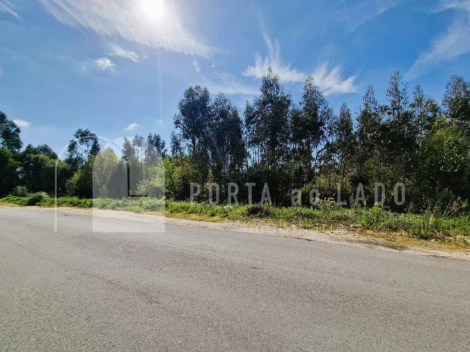 Terreno Agricola ou Rústico para Venda em Pedroso e Seixezelo Foto 4