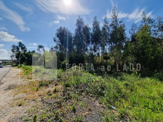 Terreno Agricola ou Rústico para Venda em Pedroso e Seixezelo Foto 8
