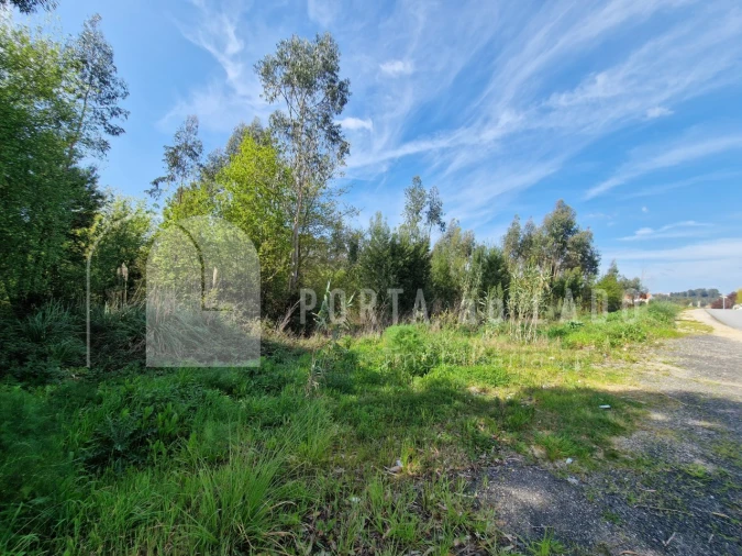 Terreno Agricola ou Rústico para Venda em Pedroso e Seixezelo Foto 7