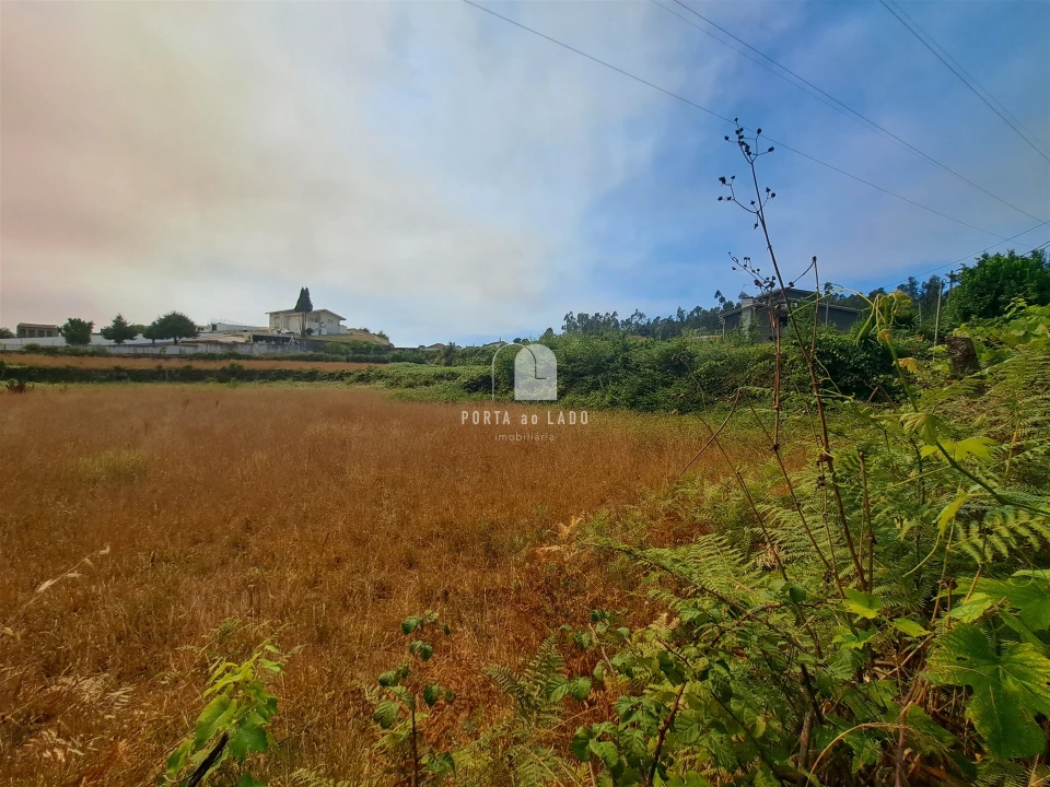 Terreno Agricola ou Rústico para Venda em Sandim, Olival, Lever e Crestuma Foto 3