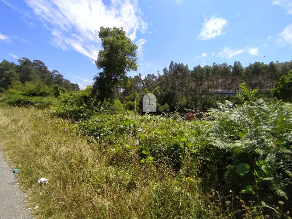 Terreno Agricola ou Rústico para Venda em Sandim, Olival, Lever e Crestuma Foto 4