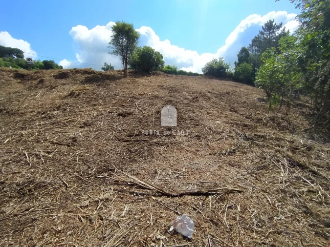 Terreno Agricola ou Rústico para Venda em Sandim, Olival, Lever e Crestuma Foto 8
