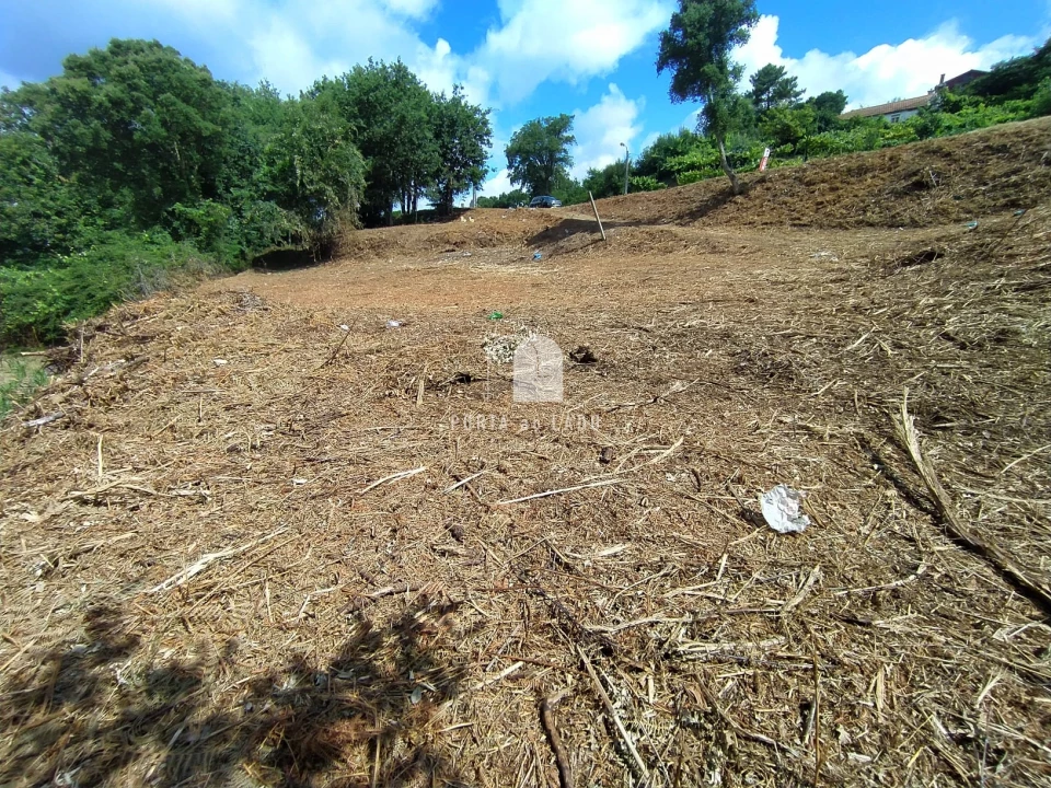 Terreno Agricola ou Rústico para Venda em Sandim, Olival, Lever e Crestuma Foto 10