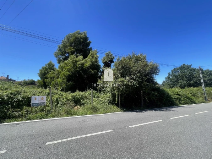 Terreno Agricola ou Rústico para Venda em São João de Ver Foto 2