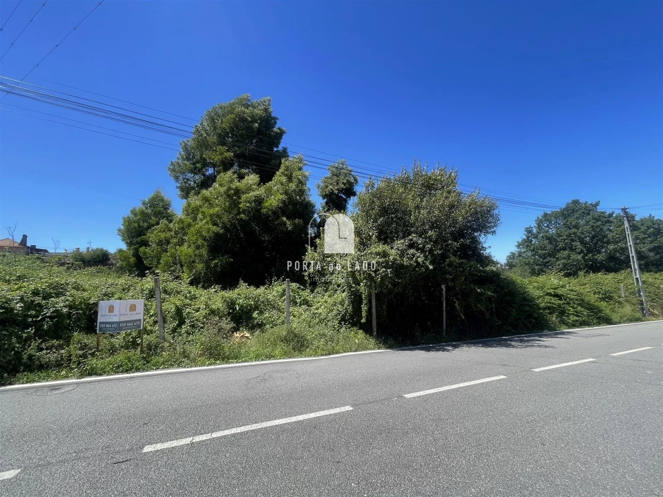 Terreno Agricola ou Rústico para Venda em São João de Ver Foto 2