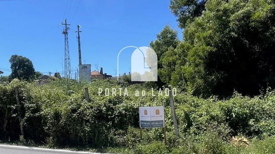 Terreno Agricola ou Rústico para Venda em São João de Ver