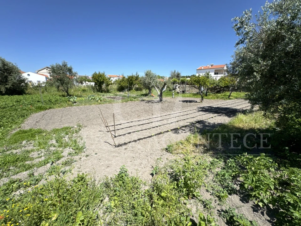 Terreno para Venda em Crato e Mártires, Flor da Rosa e Vale do Peso Foto 18