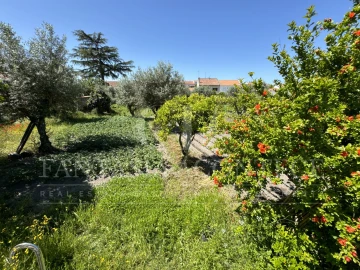 Terreno para Venda em Crato e Mártires, Flor da Rosa e Vale do Peso