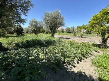 Terreno para Venda em Crato e Mártires, Flor da Rosa e Vale do Peso