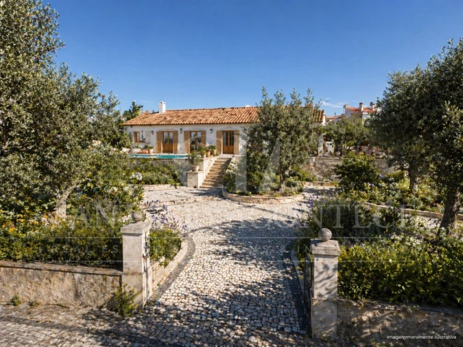 Terreno para Venda em Crato e Mártires, Flor da Rosa e Vale do Peso Foto 5