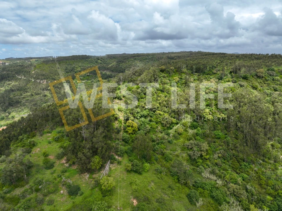 Terreno Agricola ou Rústico para Venda em Azueira e Sobral da Abelheira Foto 1