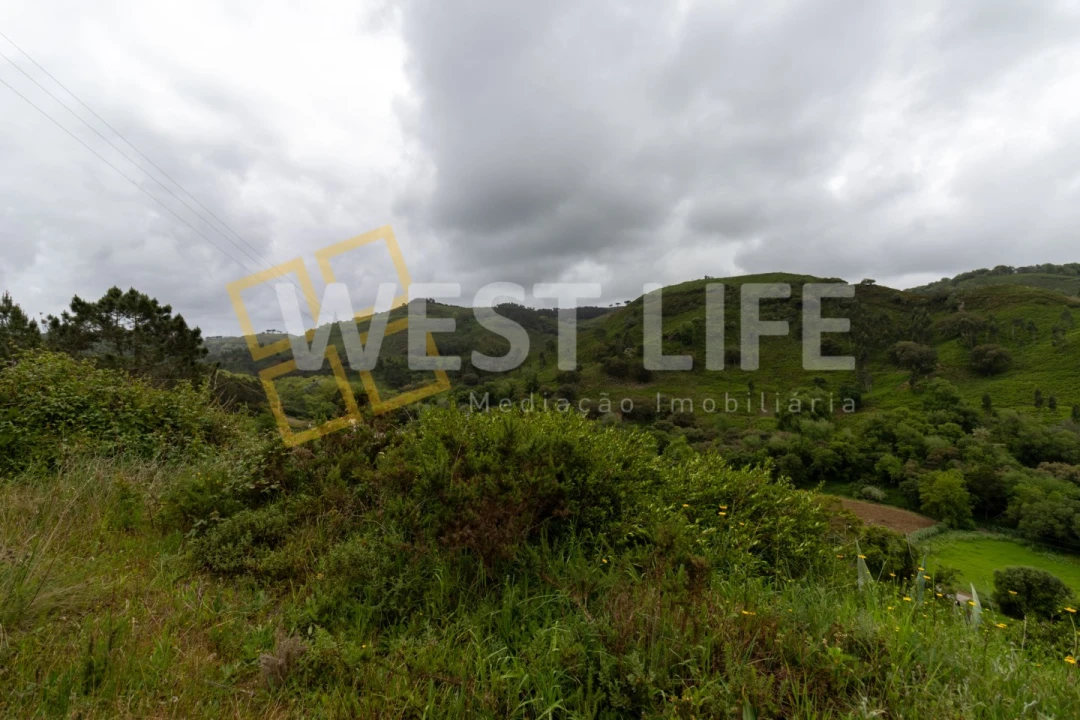 Terreno Agricola ou Rústico para Venda em Azueira e Sobral da Abelheira Foto 3