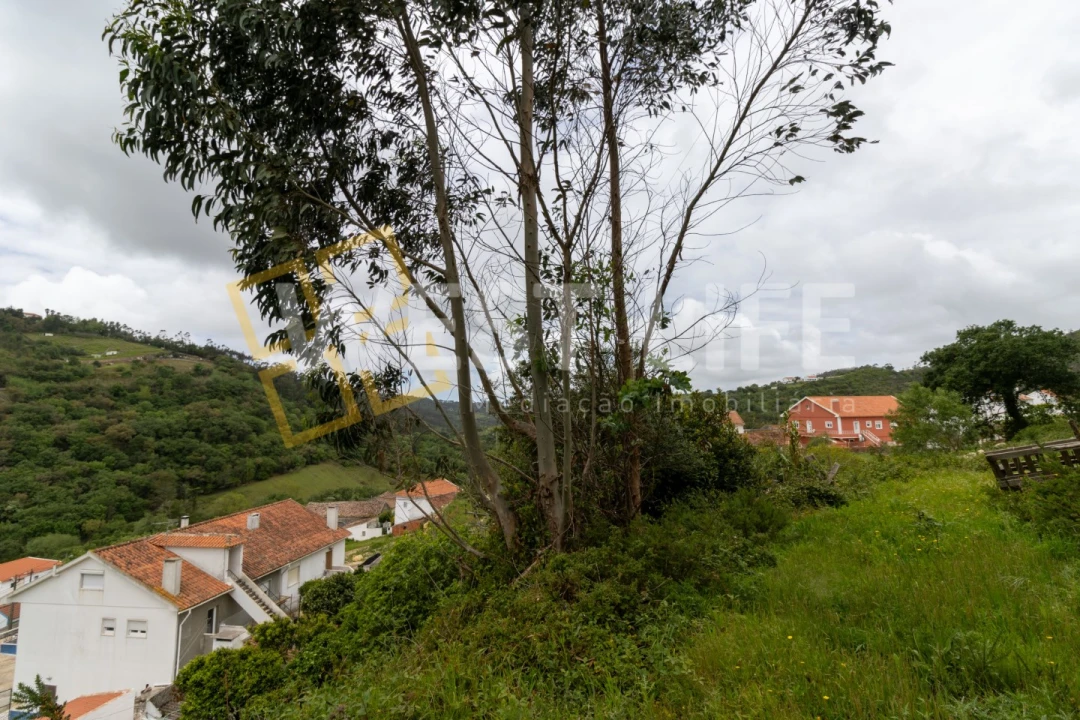 Terreno Agricola ou Rústico para Venda em Azueira e Sobral da Abelheira Foto 4