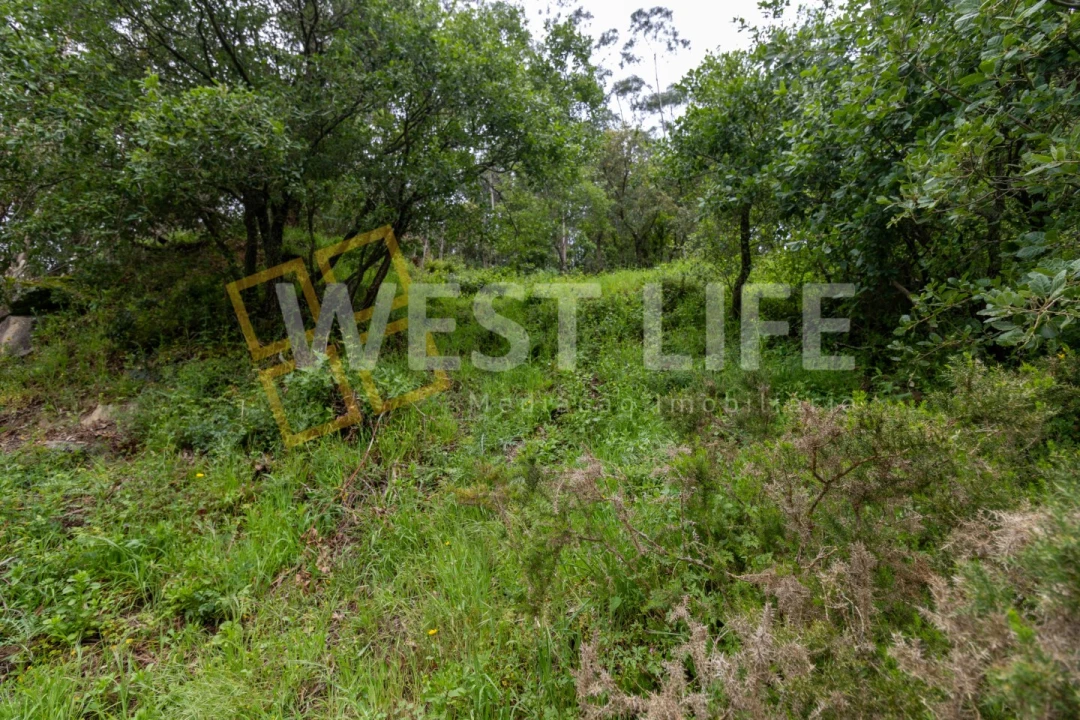 Terreno Agricola ou Rústico para Venda em Azueira e Sobral da Abelheira Foto 6
