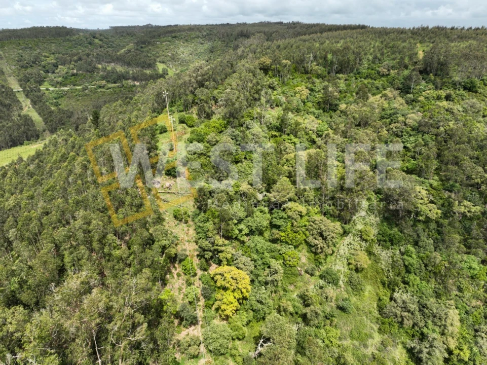 Terreno Agricola ou Rústico para Venda em Azueira e Sobral da Abelheira Foto 12