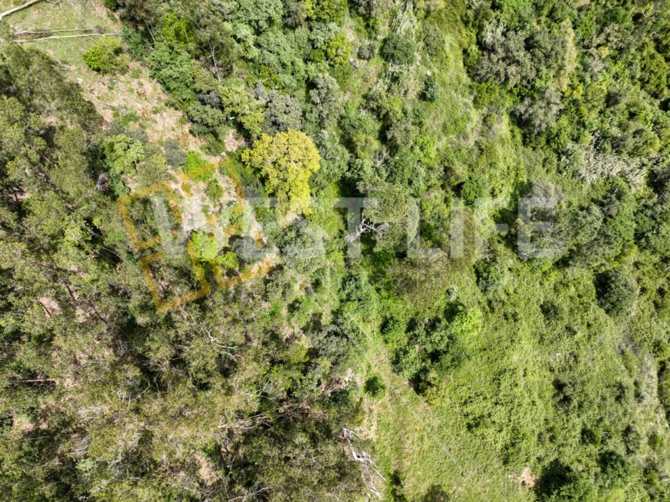 Terreno Agricola ou Rústico para Venda em Azueira e Sobral da Abelheira Foto 13