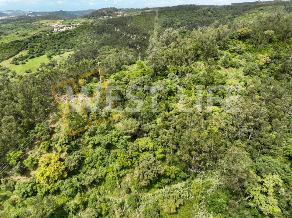 Terreno Agricola ou Rústico para Venda em Azueira e Sobral da Abelheira Foto 14