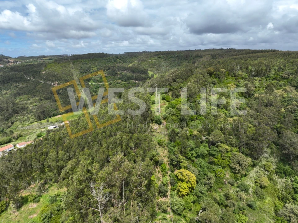 Terreno Agricola ou Rústico para Venda em Azueira e Sobral da Abelheira Foto 16