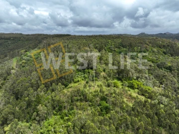 Terreno Agricola ou Rústico para Venda em Azueira e Sobral da Abelheira