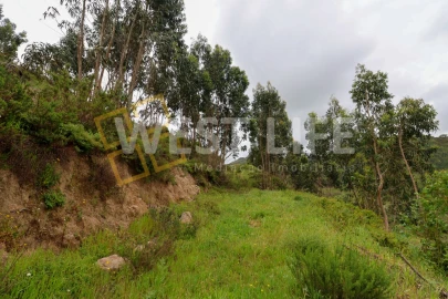 Terreno Agricola ou Rústico para Venda em Azueira e Sobral da Abelheira