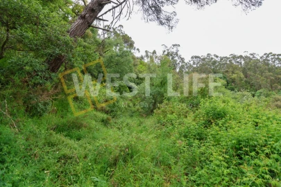Terreno Agricola ou Rústico para Venda em Azueira e Sobral da Abelheira
