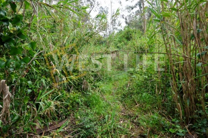 Terreno Agricola ou Rústico para Venda em Azueira e Sobral da Abelheira
