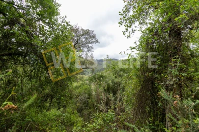 Terreno Agricola ou Rústico para Venda em Azueira e Sobral da Abelheira