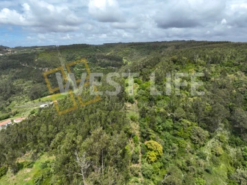Terreno Agricola ou Rústico para Venda em Azueira e Sobral da Abelheira