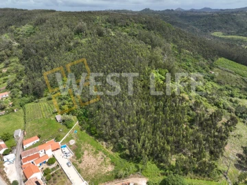 Terreno Agricola ou Rústico para Venda em Azueira e Sobral da Abelheira