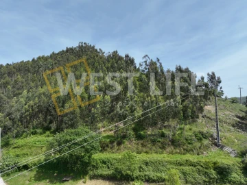 Terreno Agricola ou Rústico para Venda em Azueira e Sobral da Abelheira