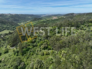 Terreno Agricola ou Rústico para Venda em Azueira e Sobral da Abelheira