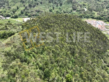 Terreno Agricola ou Rústico para Venda em Azueira e Sobral da Abelheira