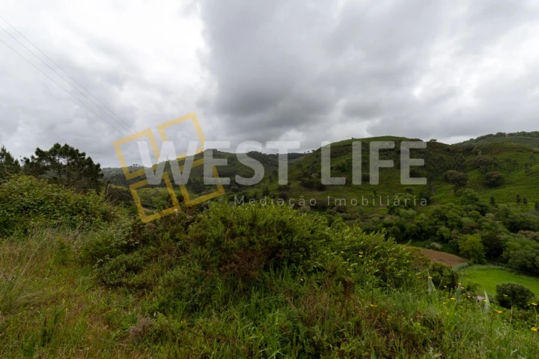 Terreno Agricola ou Rústico para Venda em Azueira e Sobral da Abelheira Foto 3