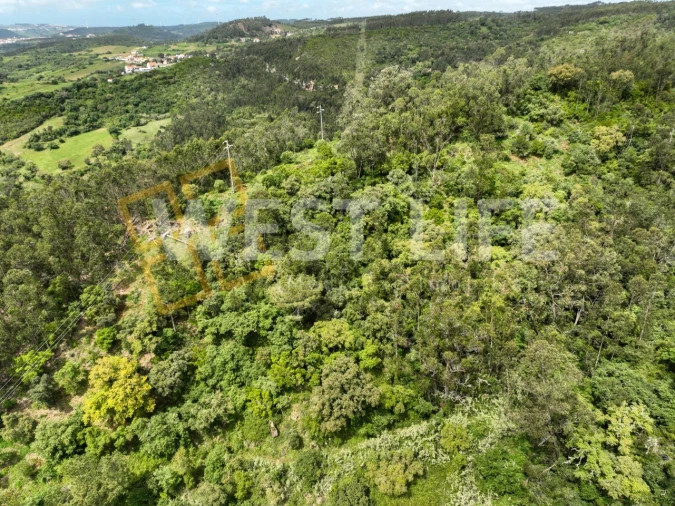 Terreno Agricola ou Rústico para Venda em Azueira e Sobral da Abelheira Foto 14