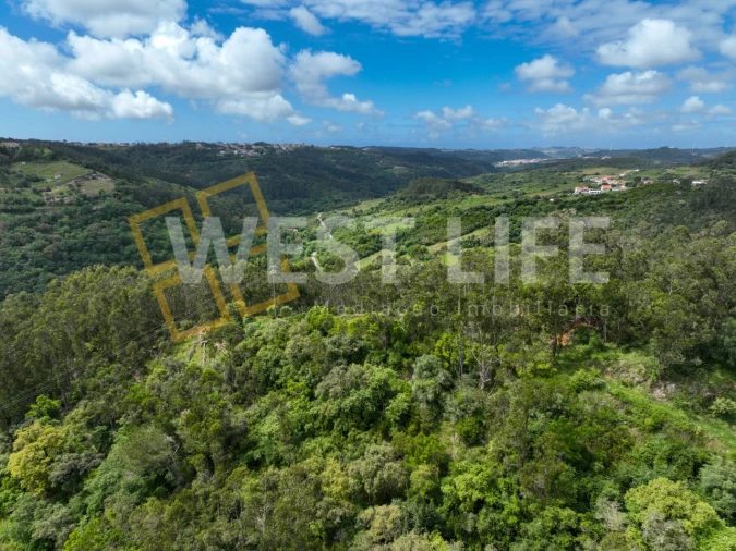 Terreno Agricola ou Rústico para Venda em Azueira e Sobral da Abelheira Foto 15