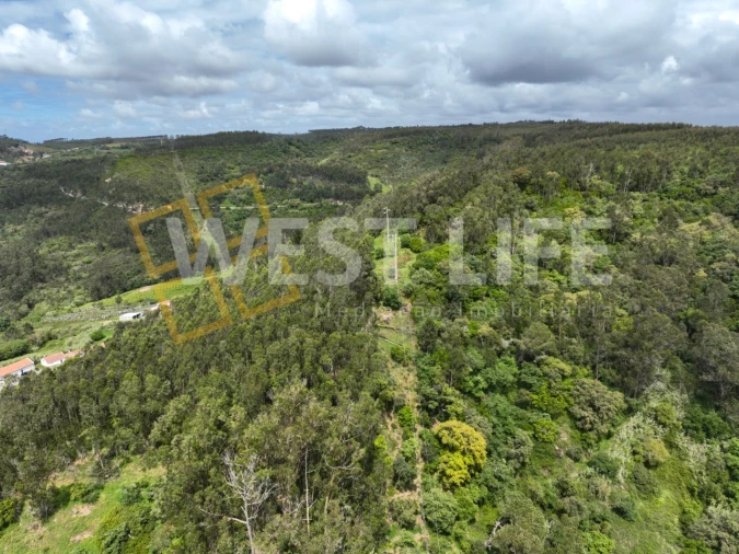 Terreno Agricola ou Rústico para Venda em Azueira e Sobral da Abelheira Foto 16