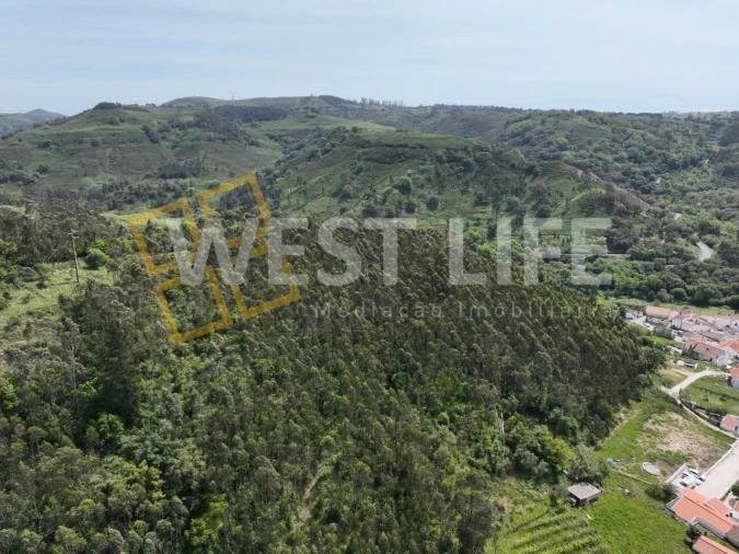 Terreno Agricola ou Rústico para Venda em Azueira e Sobral da Abelheira Foto 20