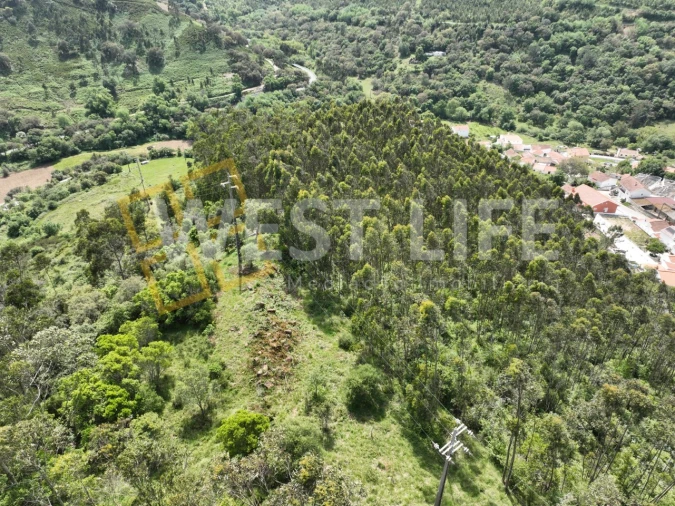 Terreno Agricola ou Rústico para Venda em Azueira e Sobral da Abelheira Foto 21
