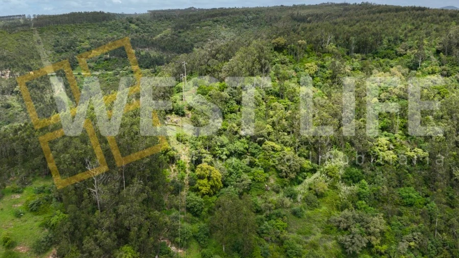 Terreno Agricola ou Rústico para Venda em Azueira e Sobral da Abelheira