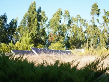 Quinta T5 para Venda em São Pedro de Tomar