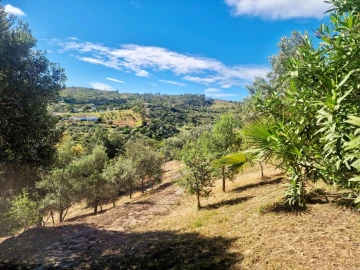 Moradia T3 para Venda em Santa Catarina da Fonte do Bispo