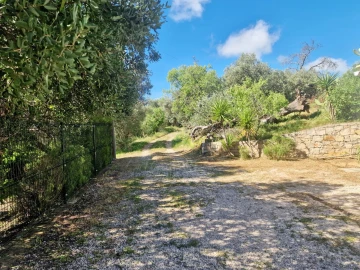 Moradia T3 para Venda em Santa Catarina da Fonte do Bispo