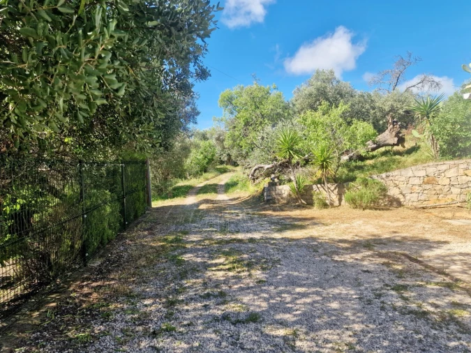 Moradia T3 para Venda em Santa Catarina da Fonte do Bispo Foto 35