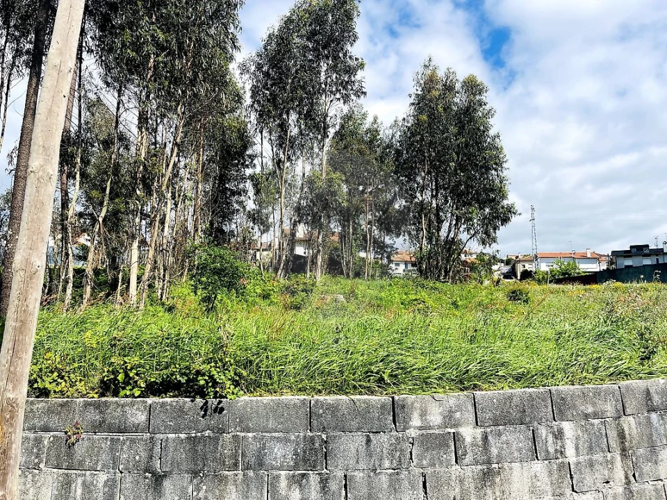 Terreno para Venda em O. Azeméis, Riba-Ul, Ul, Macinhata Seixa, Madail Foto 4