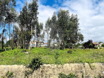 Terreno para Venda em O. Azeméis, Riba-Ul, Ul, Macinhata Seixa, Madail