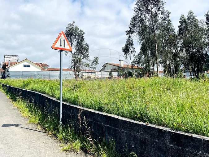 Terreno para Venda em O. Azeméis, Riba-Ul, Ul, Macinhata Seixa, Madail Foto 3