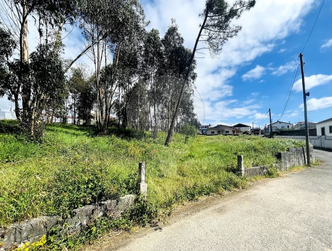 Terreno para Venda em O. Azeméis, Riba-Ul, Ul, Macinhata Seixa, Madail Foto 2