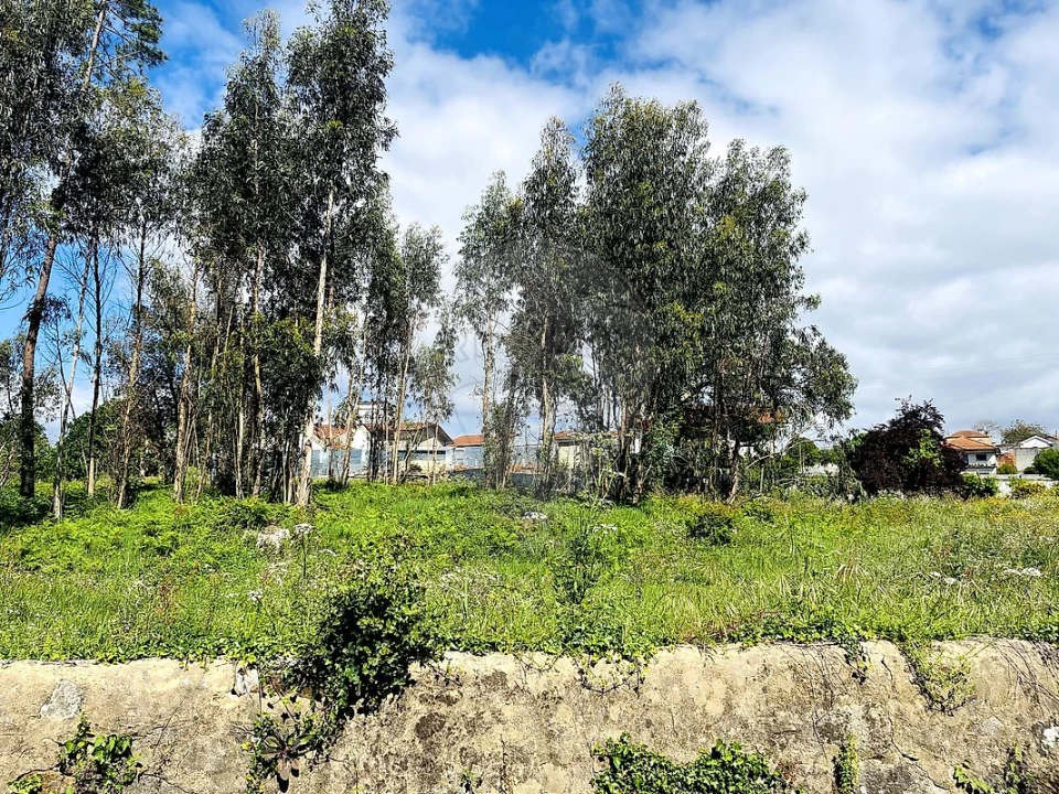 Terreno para Venda em O. Azeméis, Riba-Ul, Ul, Macinhata Seixa, Madail Foto 6