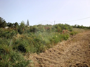 Terreno para Venda em Aljezur