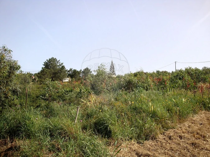Terreno para Venda em Aljezur Foto 3